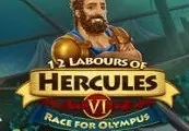 12 Labours of Hercules VI: Race for Olympus — Steam, Standard