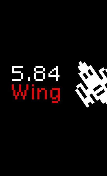 Jaquette de 5.84 Wing — jeu PC (Steam)