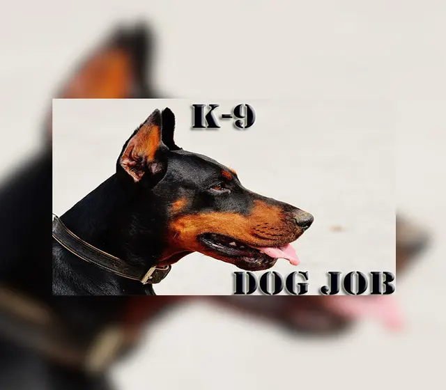 К-9 Dog Job — Steam, Standard