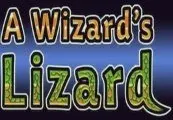 A Wizard's Lizard — Steam, Standard