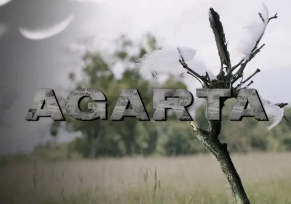 Agarta EN/TR — Steam, Standard