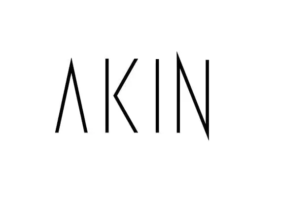 Akin EN — Steam, Standard