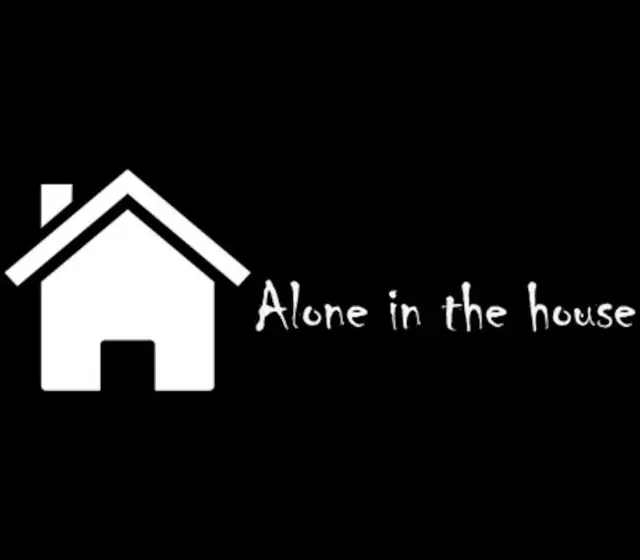 Alone in the house — Steam, Standard