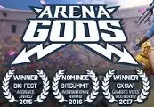 ARENA GODS — Steam, Standard