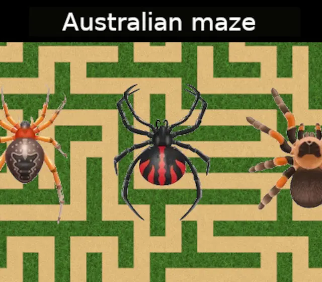 Australian maze — Steam, Standard