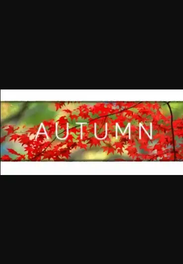 Autumn — Steam, Standard