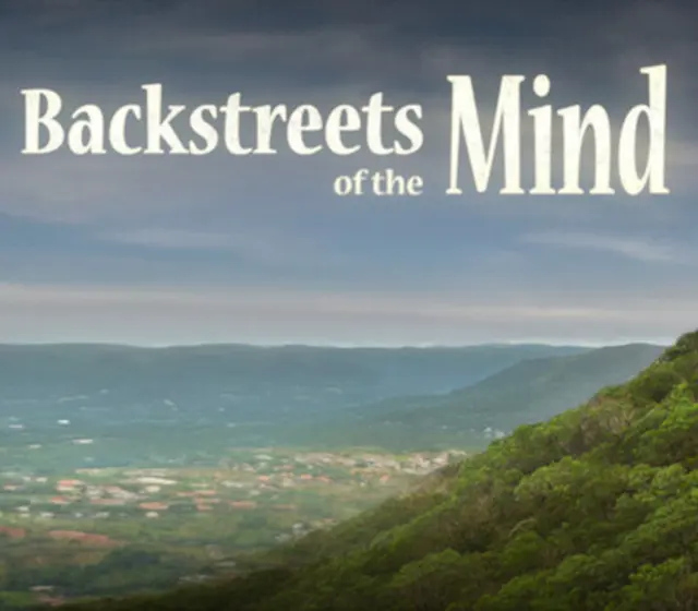 Backstreets of the Mind — Steam, Standard