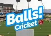 Balls! Virtual Reality Cricket — Steam, Standard