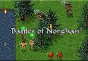 Battles of Norghan — Steam, Standard