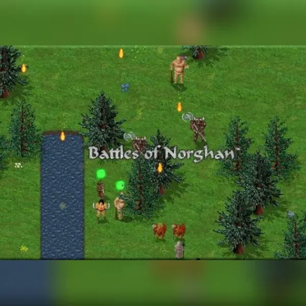 Battles of Norghan — Steam, Standard
