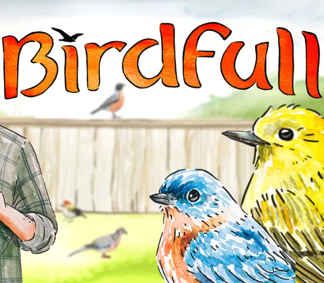 Birdfull — Steam, Standard
