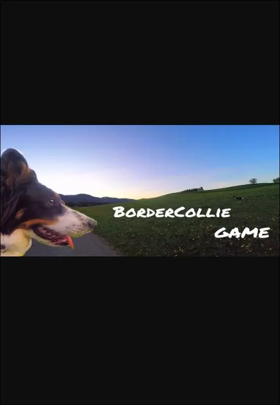 BorderCollie Game — Steam, Standard