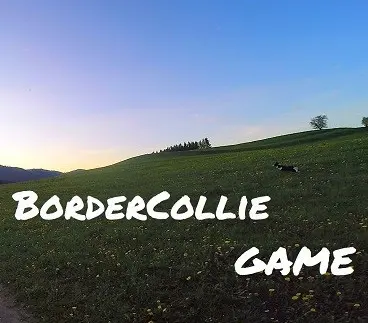 BorderCollie Game — Steam, Standard
