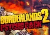 Borderlands 2 - Psycho Character Pack EN/IT/FR Languages Only DLC — Steam, Standard