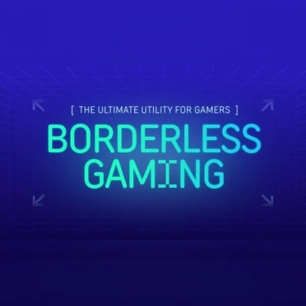Borderless Gaming — Steam, Standard