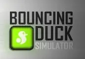 Bouncing Duck Simulator — Steam, Standard