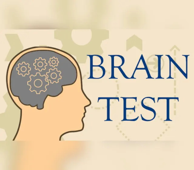 Brain Test — Steam, Standard