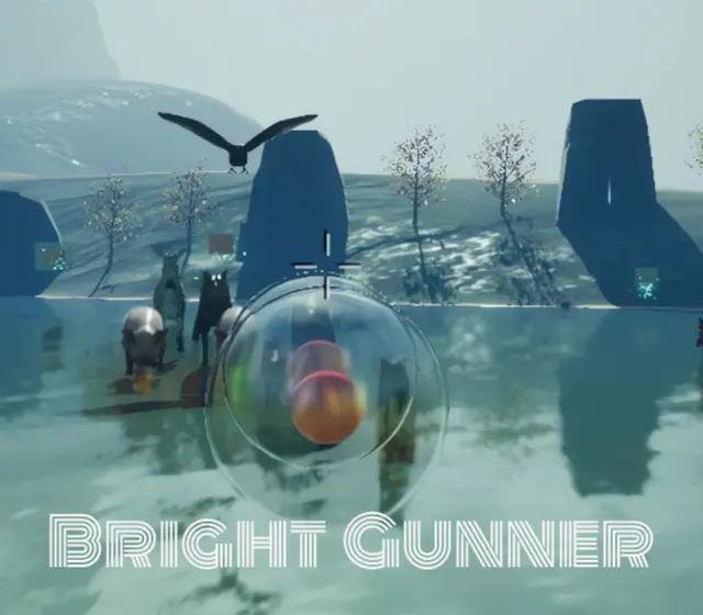 BrightGunner — Steam, Standard