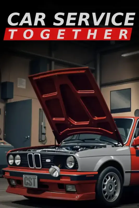 Car Service Together — Steam, Standard