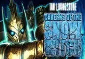 Caverns of the Snow Witch — Steam, Standard