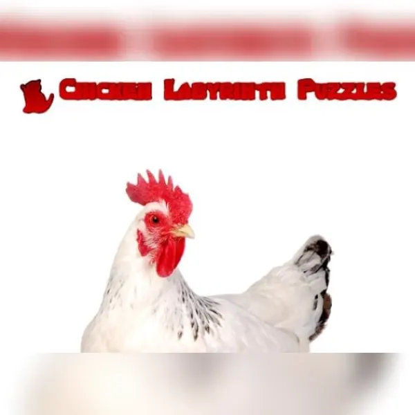 Chicken Labyrinth Puzzles — Steam, Standard