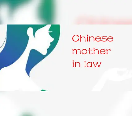 Chinese Mother in Law — Steam, Standard