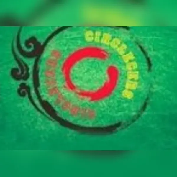 Circlecers — Steam, Standard
