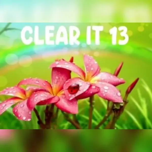 ClearIt 13 — Steam, Standard