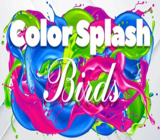 Color Splash: Birds — Steam, Standard