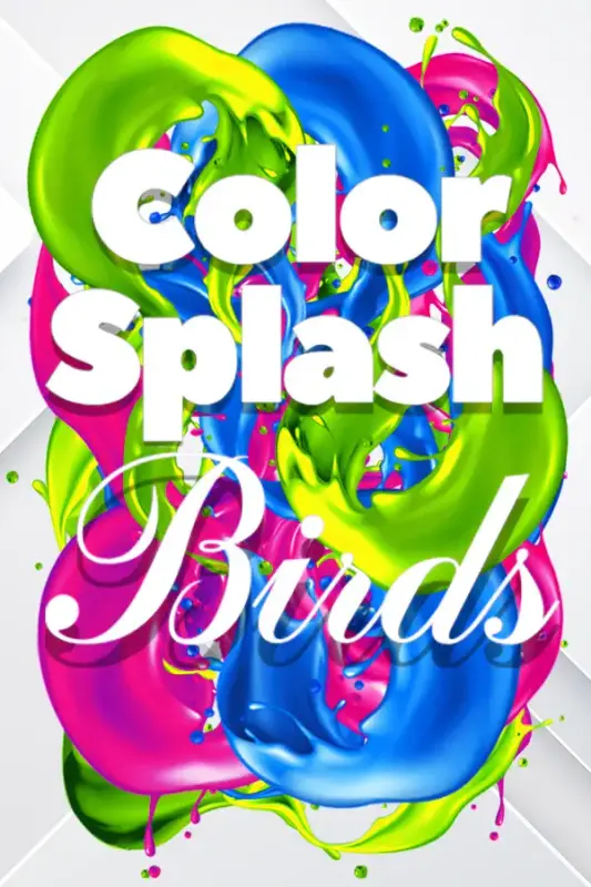 Color Splash Birds — Steam, Standard