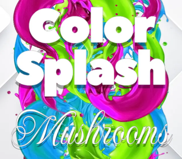 Color Splash: Mushrooms — Steam, Standard