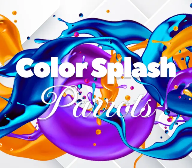 Color Splash: Parrots — Steam, Standard