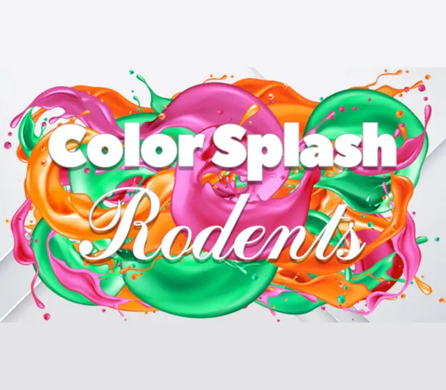 Color Splash: Rodents — Steam, Standard