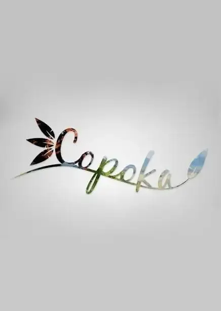 Copoka — Steam, Standard