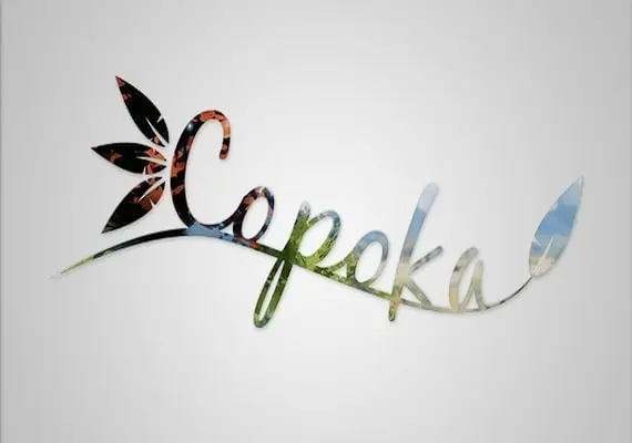 Copoka EN — Steam, Standard