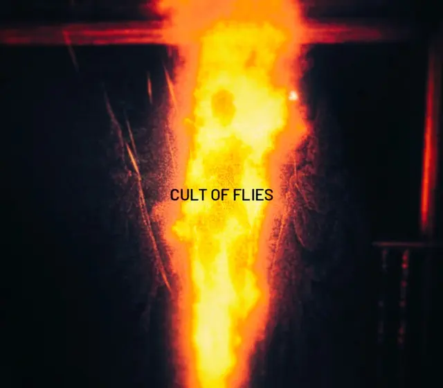 CULT OF FLIES — Steam, Standard