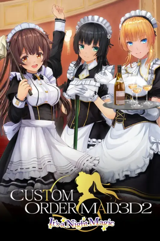 CUSTOM ORDER MAID 3D2 It's a Night Magic — Steam, Standard