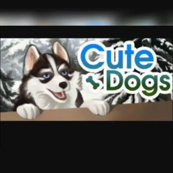 Cute Dogs — Steam, Standard