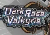 Dark Rose Valkyrie — Steam, Standard