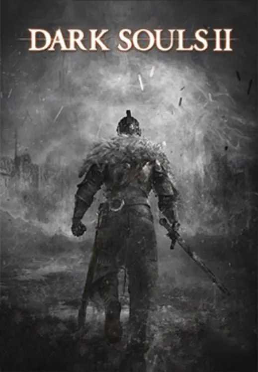 Dark Souls 2 — Steam, Standard