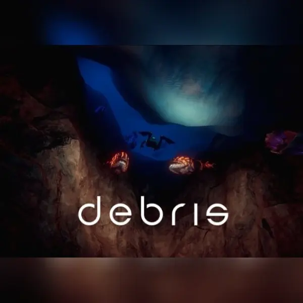 Debris — Steam, Standard