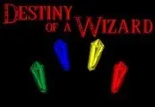 Destiny of a Wizard — Steam, Standard