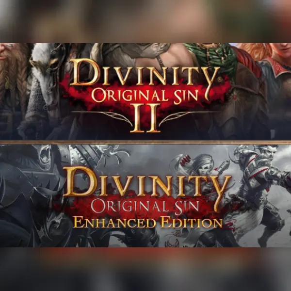 Divinity: Original Sin 1 + 2 Bundle — GOG, Standard