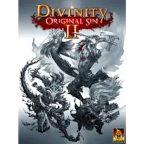 Divinity: Original Sin 2 - Divine Edition — Steam, Standard
