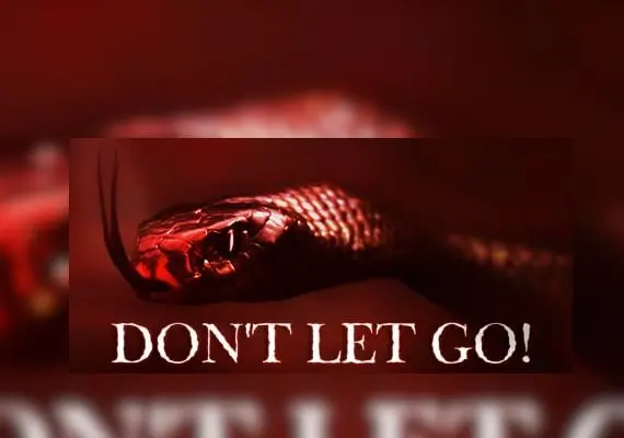 Jaquette de Don't Let Go! VR EN — jeu PC (Steam)