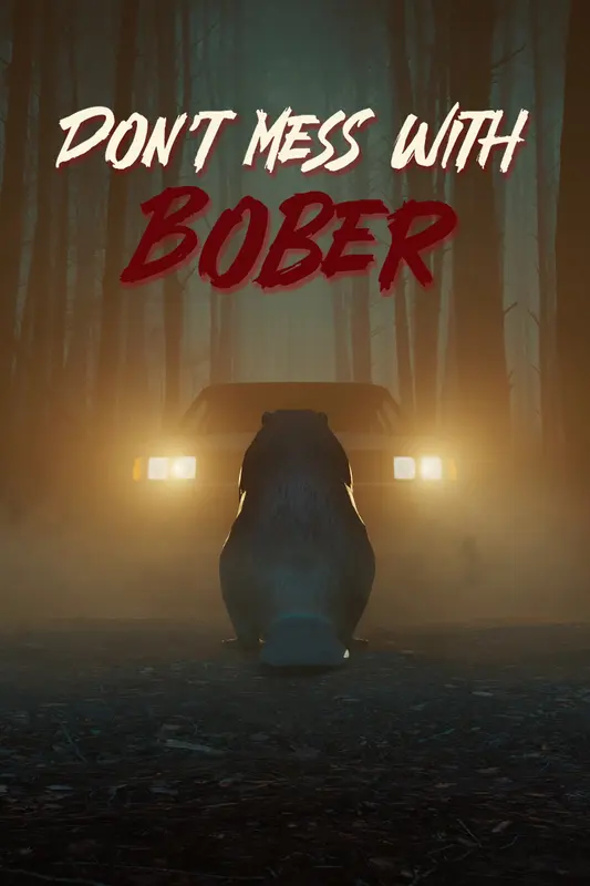 Don't Mess With Bober — Xbox Live, Standard