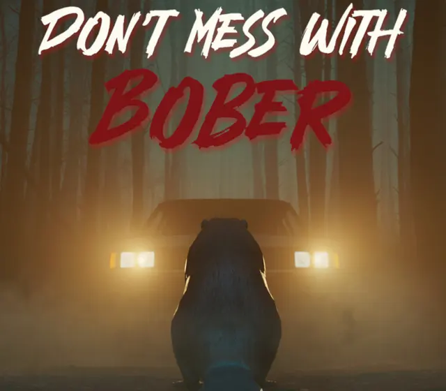 Don't Mess With Bober — PlayStation 5, Standard