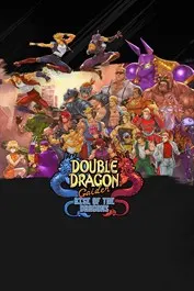 Double Dragon Gaiden Rise of the Dragons — Nintendo Switch, Standard