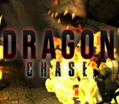 Dragon Chase — Steam, Standard
