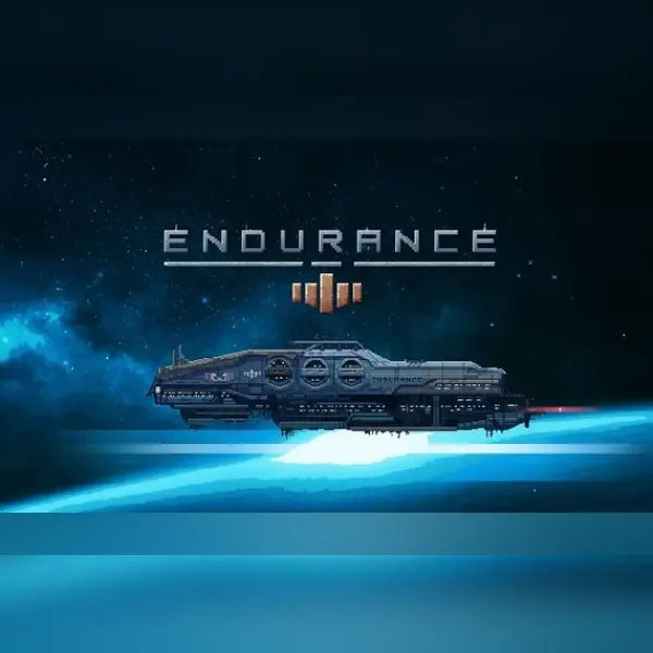 Endurance - space shooter — Steam, Standard